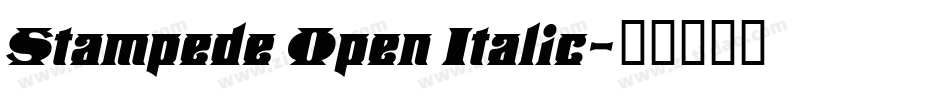Stampede Open Italic字体转换